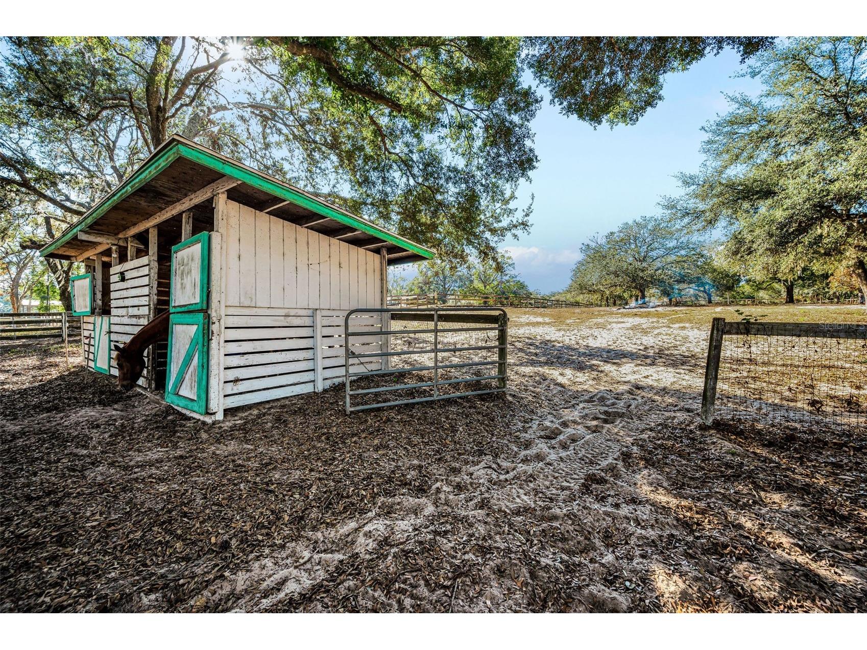 XXX Trilby Trails Trail Dade City FL 33523 TB8462818 image40