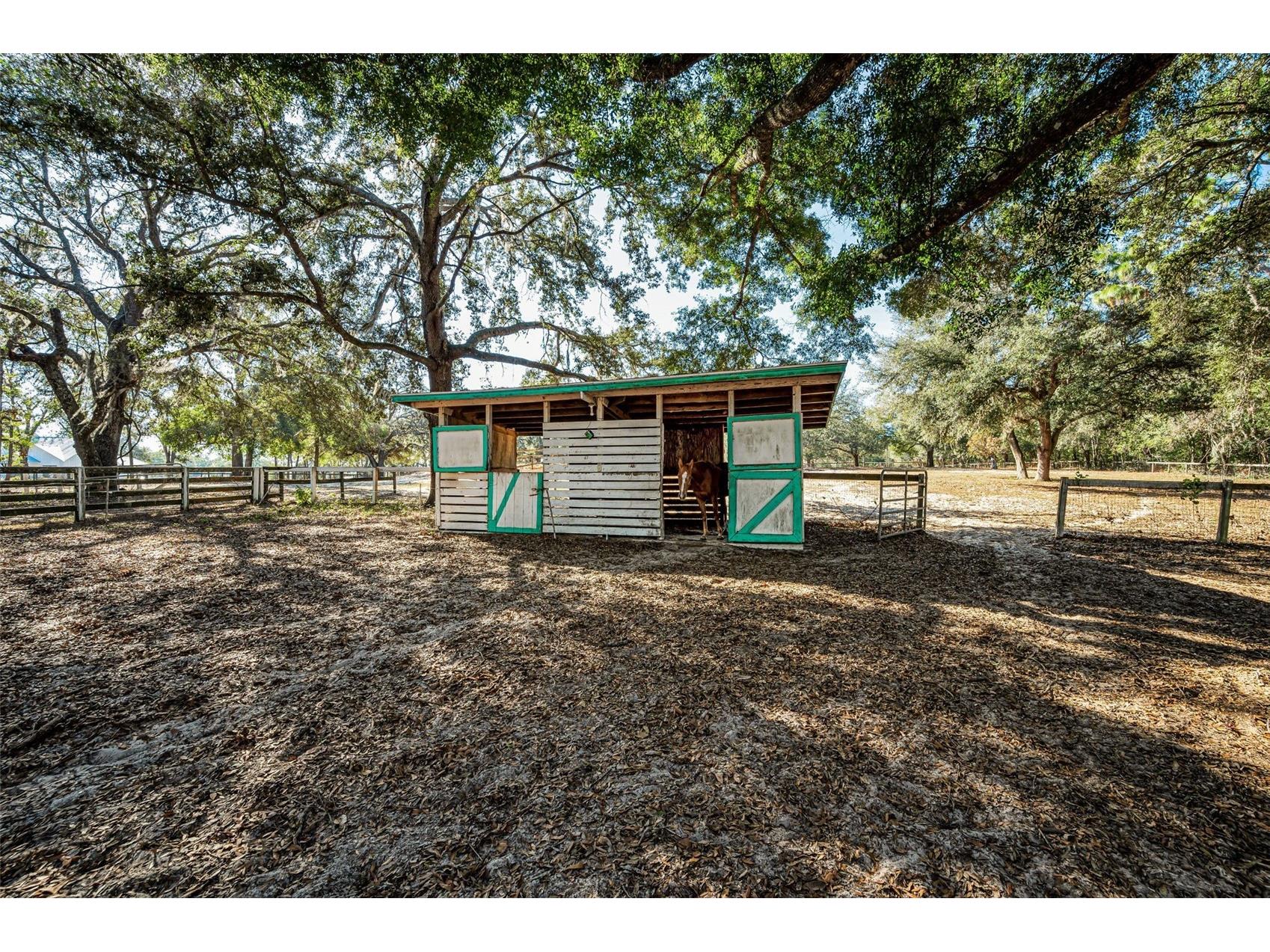 XXX Trilby Trails Trail Dade City FL 33523 TB8462818 image41