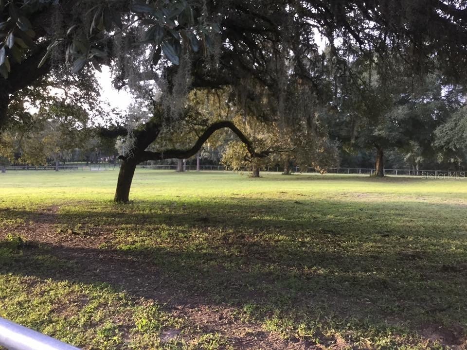 XXX Trilby Trails Trail Dade City FL 33523 TB8462818 image44