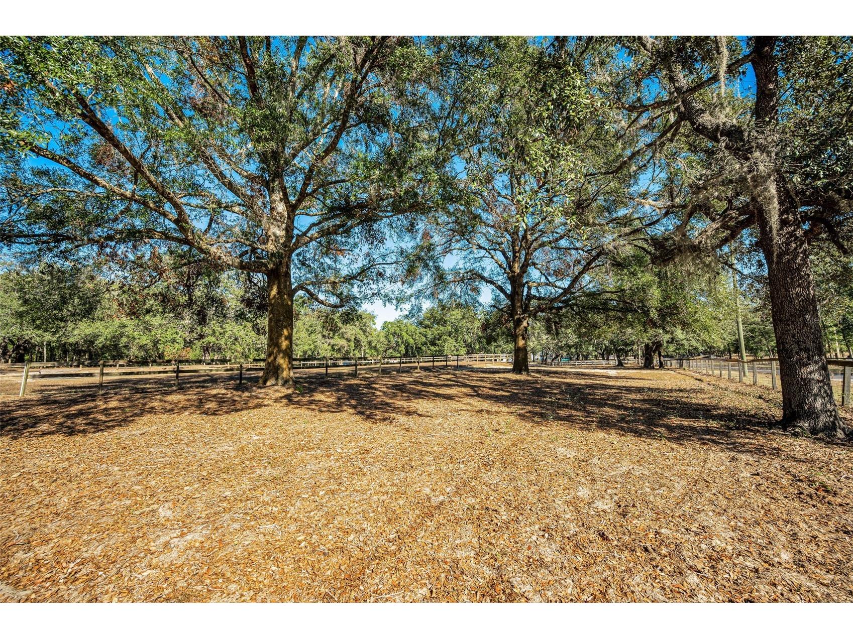 XXX Trilby Trails Trail Dade City FL 33523 TB8462818 image5