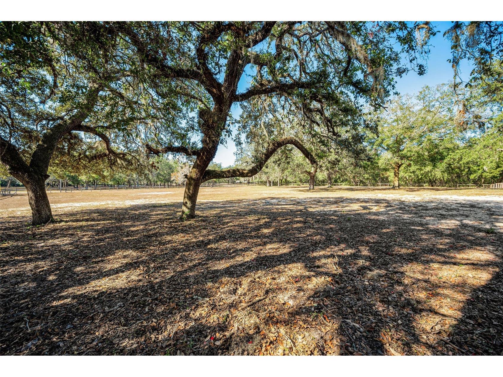 XXX Trilby Trails Trail Dade City FL 33523 TB8462818 image8