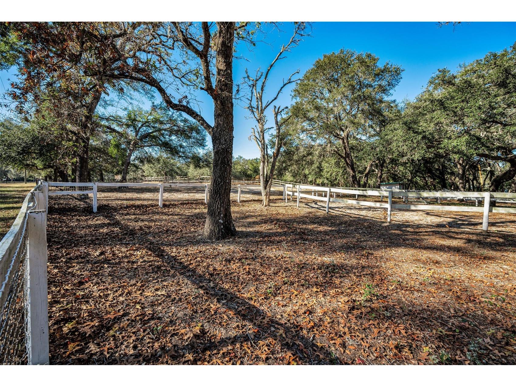 XXX Trilby Trails Trail Dade City FL 33523 TB8462818 image9