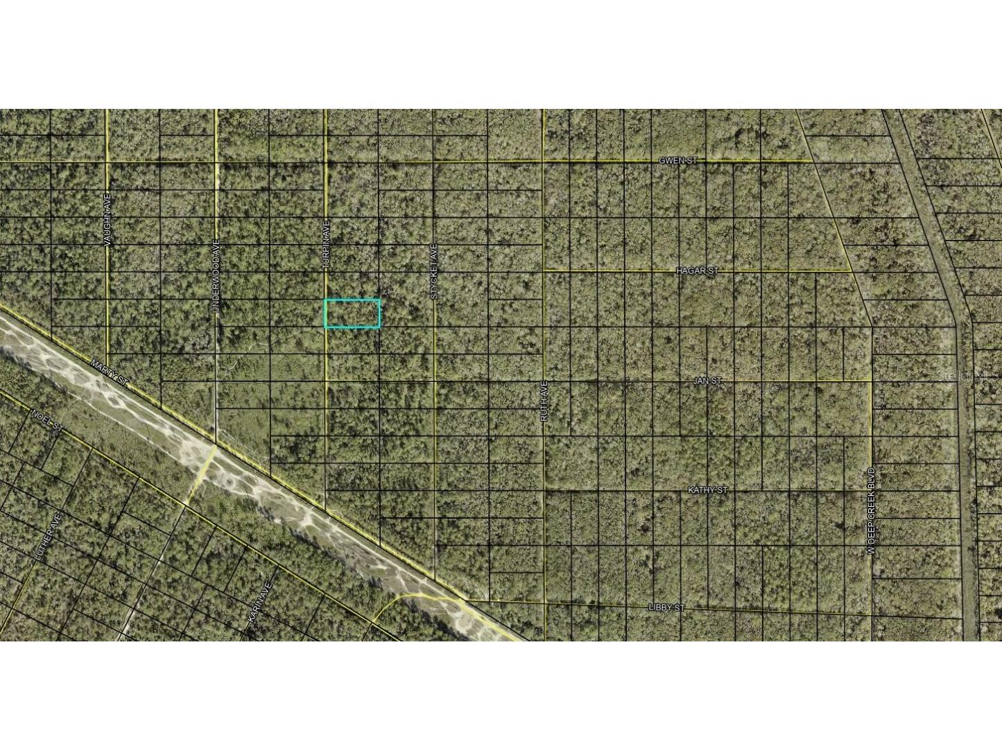 XXX Turpin Ave Avenue Hastings FL 32145 FC308971 image1