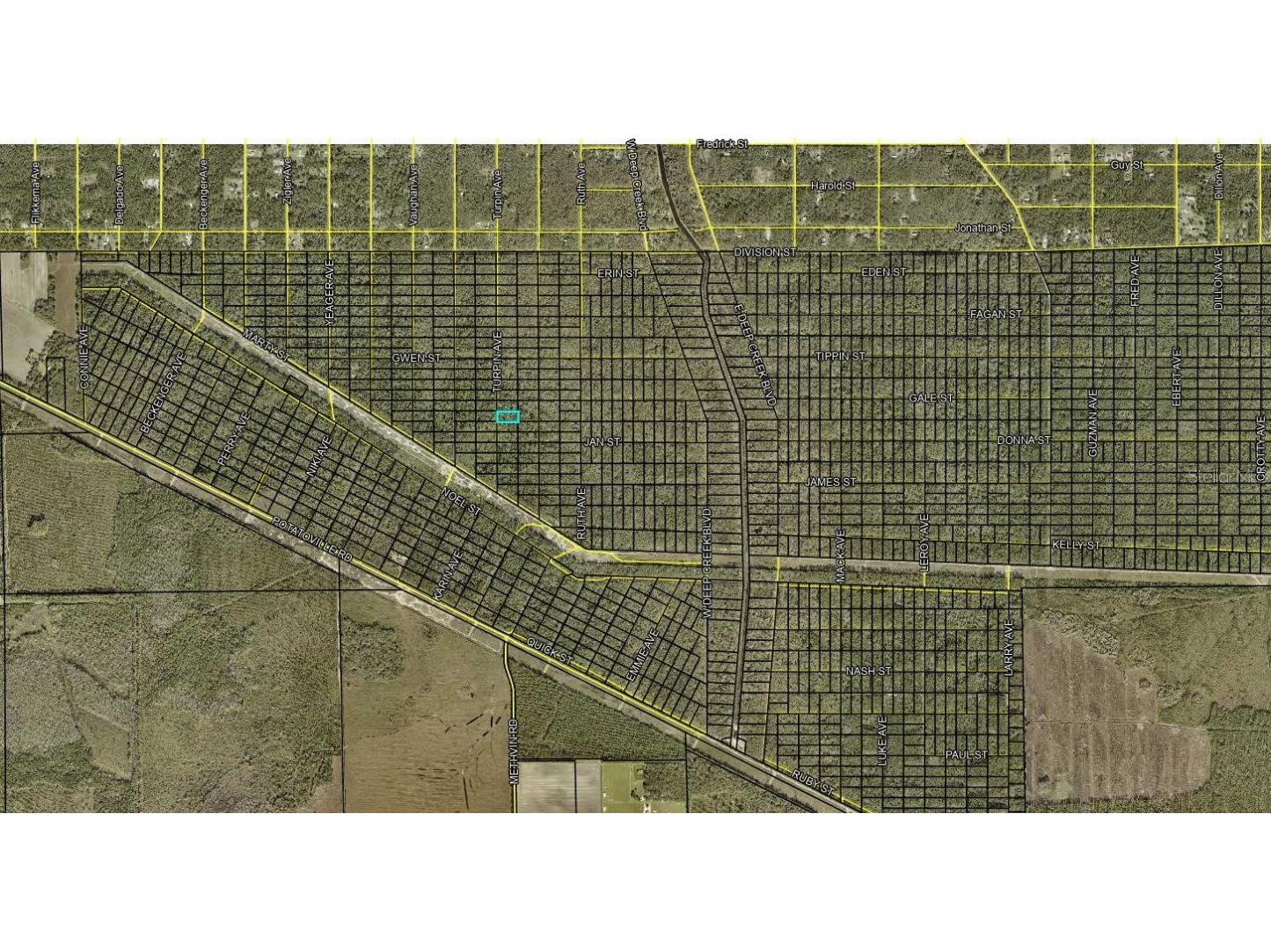 XXX Turpin Ave Avenue Hastings FL 32145 FC308971 image5