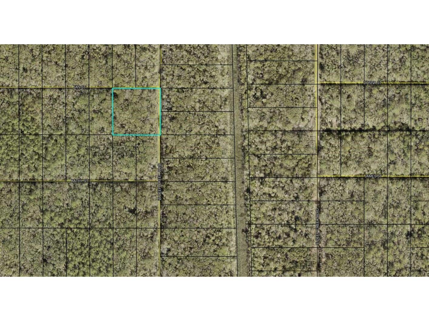 XXX W. Deep Creek Blvd Boulevard Hastings FL 32145 FC306373 image1