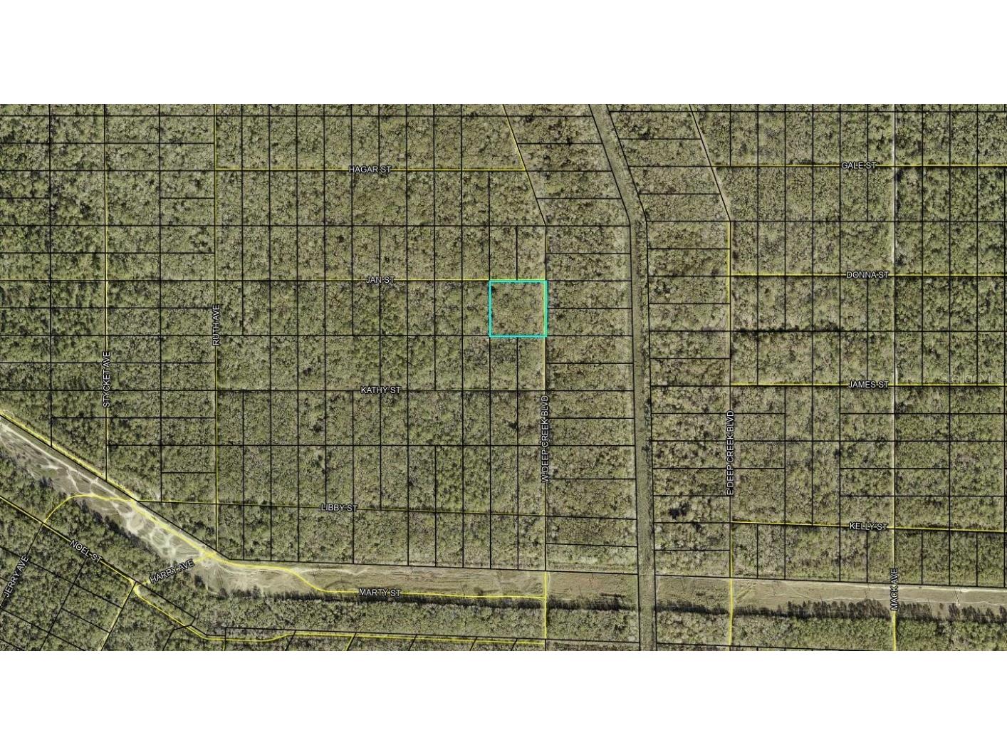 XXX W. Deep Creek Blvd Boulevard Hastings FL 32145 FC306373 image3