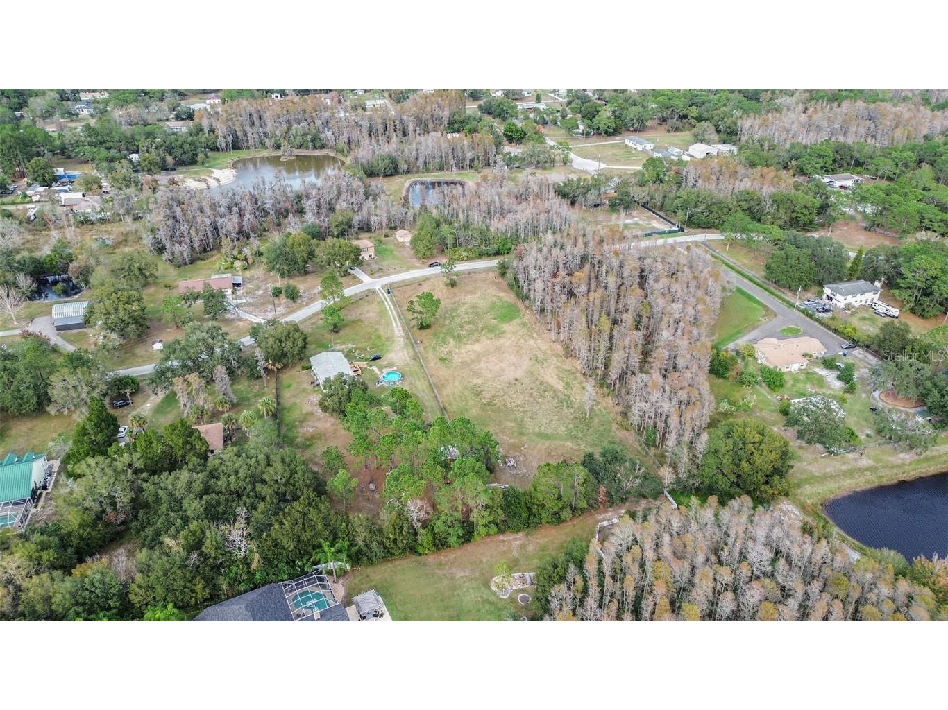 XXXX Eagle Ln. Lutz FL 33558 T3491754 image1