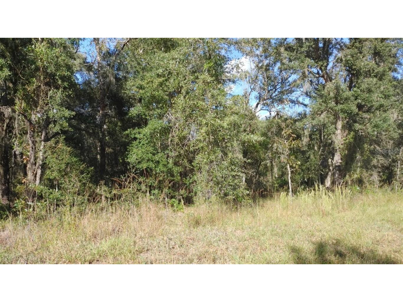 XXXX NW Tamarind Avenue Dunnellon FL 34431 OM660233 image1