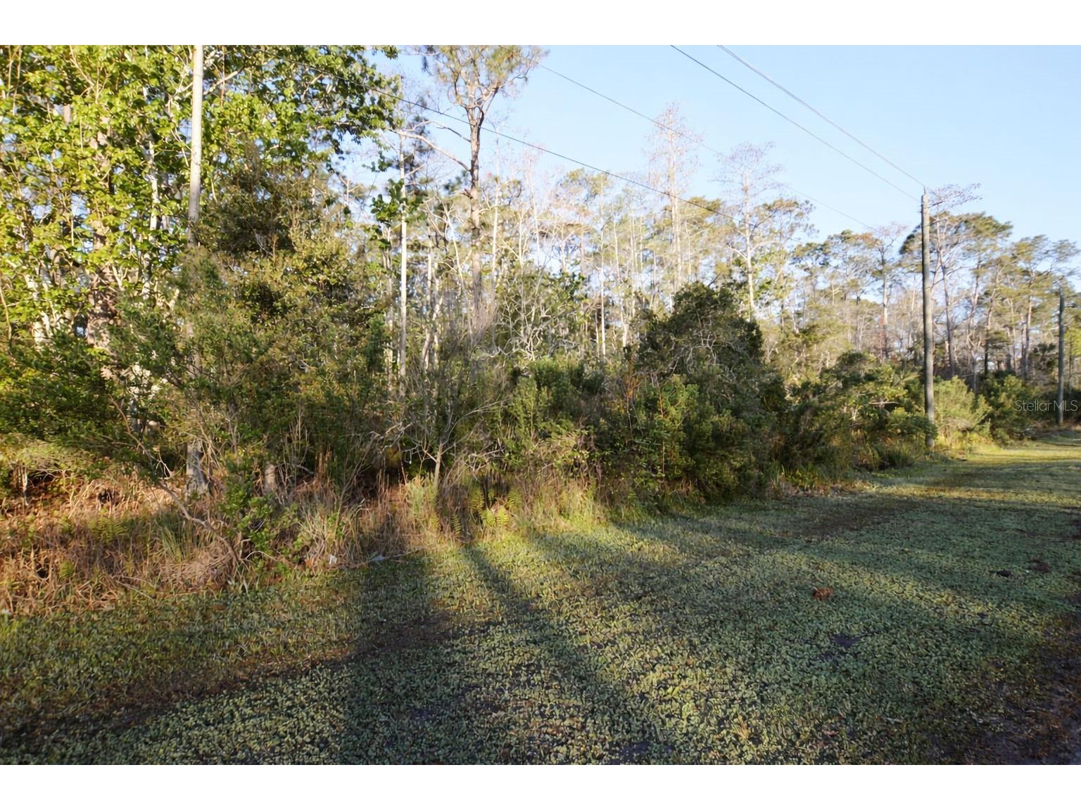 XXXX Pine Lakes Parkway Palm Coast FL 32164 FC318643 image19