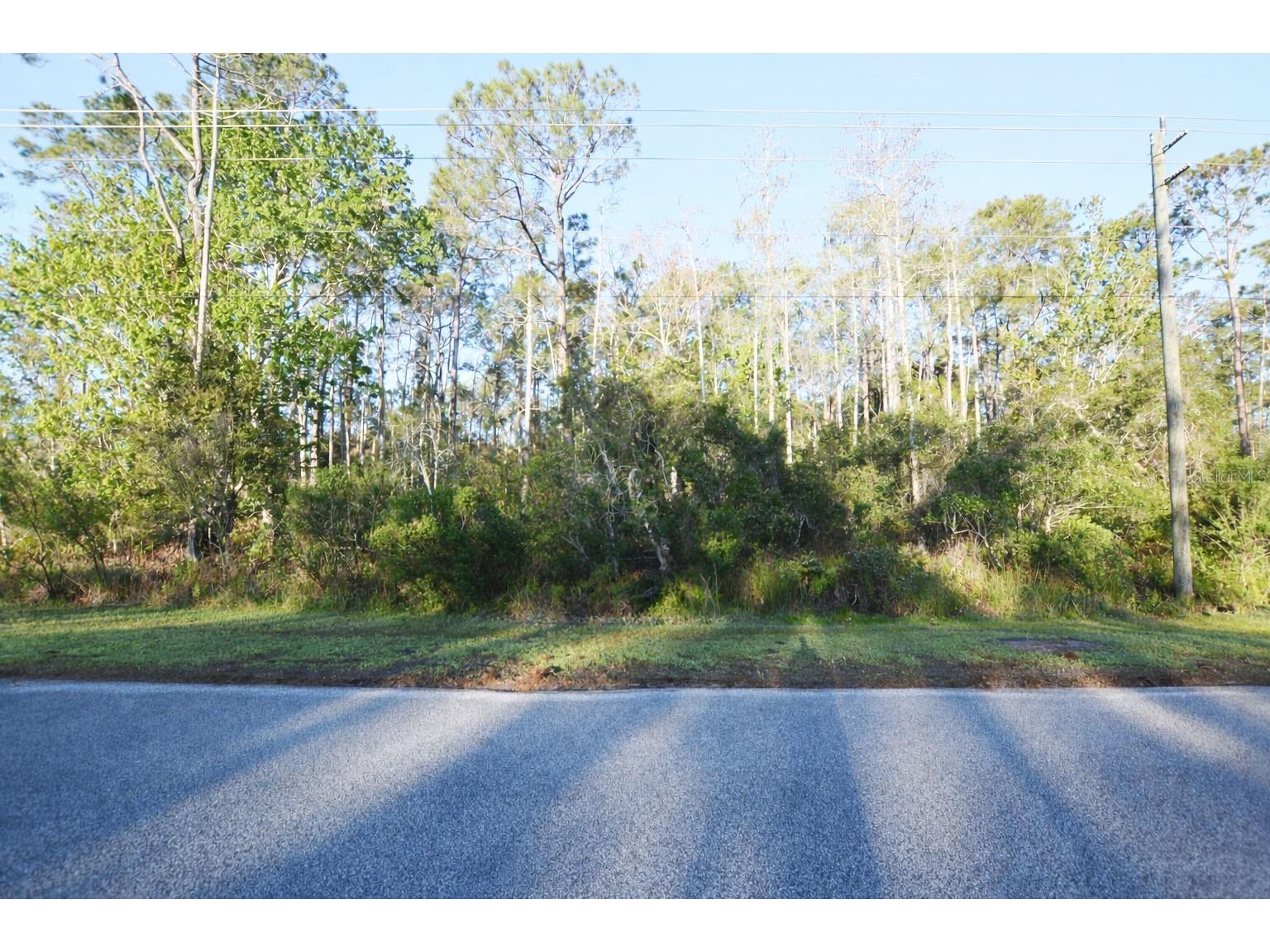 XXXX Pine Lakes Parkway Palm Coast FL 32164 FC318643 image9