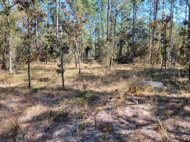 XXXX SE 142nd Court Morriston FL 32668 GC536001 image4