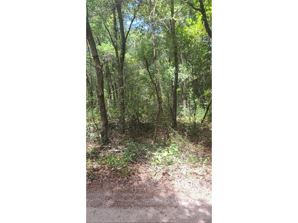 XXXX SW 156 Place Dunnellon FL 34432 OM662483 image1