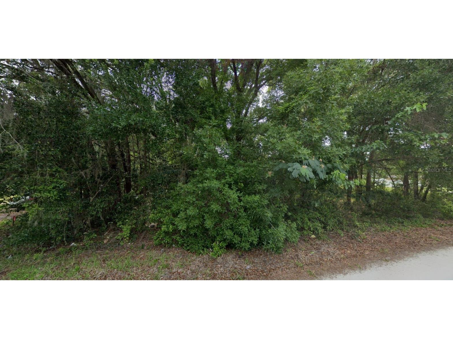 XXXXX SE 44th Avenue Summerfield FL 34491 S5089971 image1