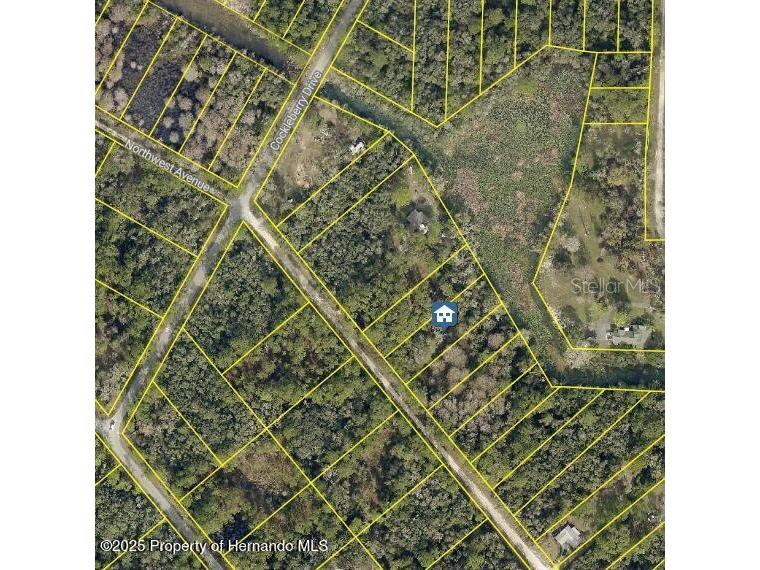 lOT 7 Northwest Avenue Webster FL 33597 W7878968 image1