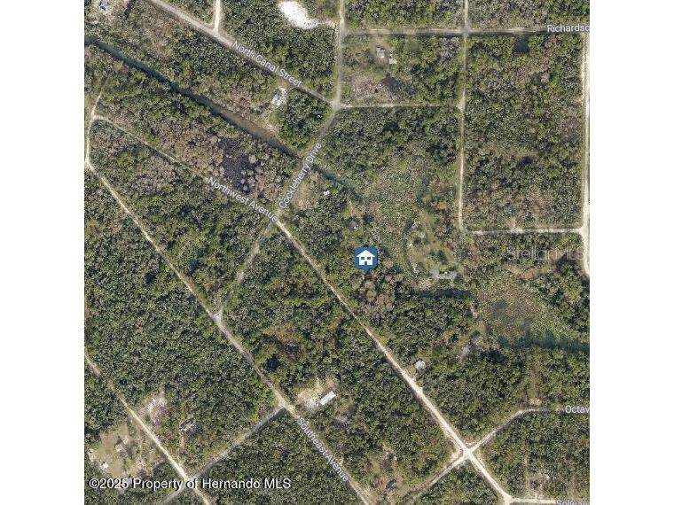 lOT 7 Northwest Avenue Webster FL 33597 W7878968 image2