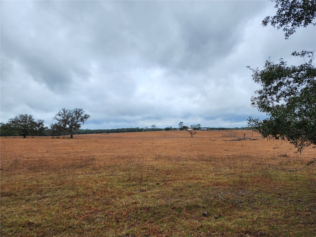 lot 09 SE 125th Court Road Dunnellon FL 34431 OM691112 image1