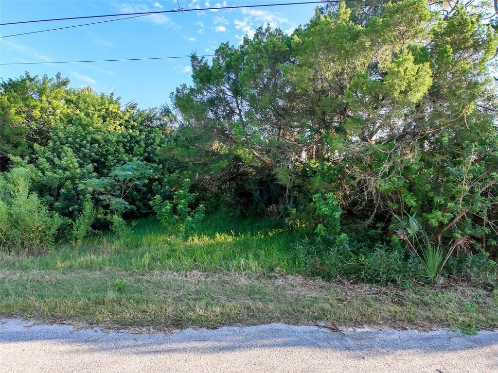 lot 11 Nowiki Avenue Hudson FL 34667 W7879566 image12