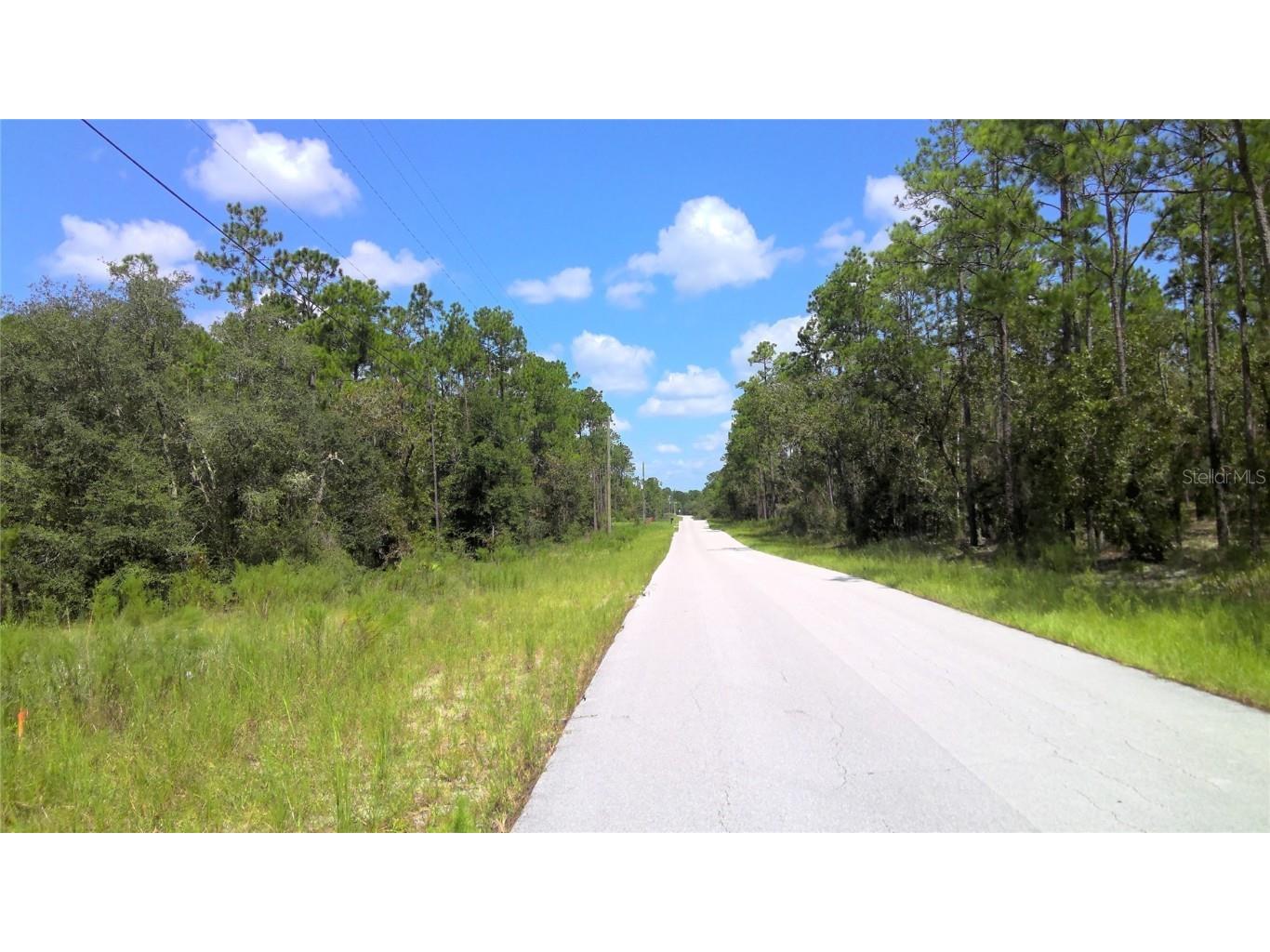 lot 11 SW Zinnia Court Dunnellon FL 34431 OM646573 image1