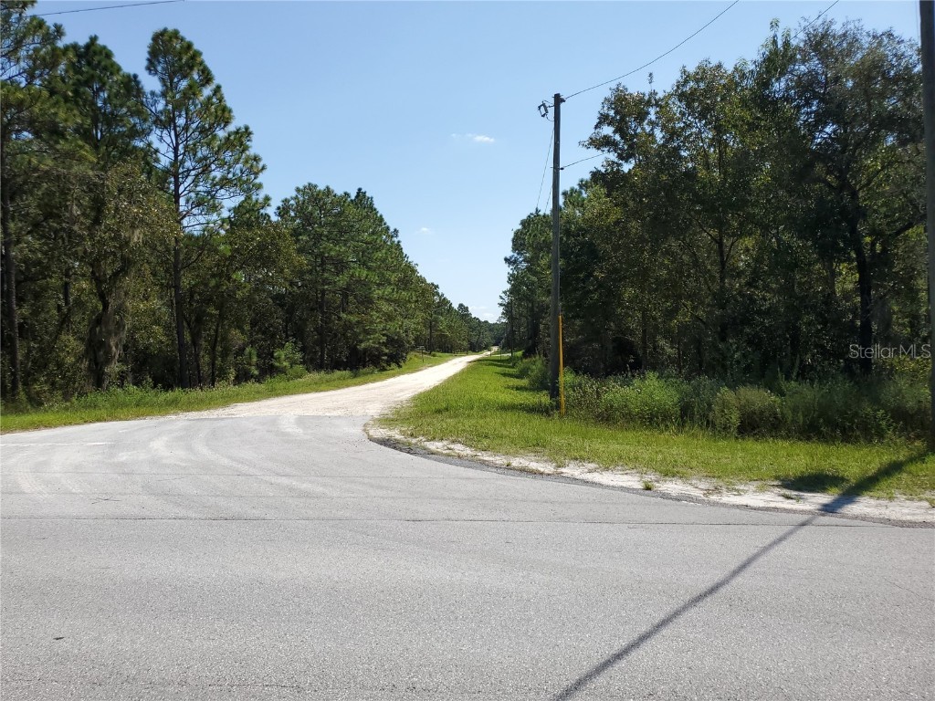 lot 12 SW 129 Ter Road #1 Dunnellon FL 34432 OM627076 image1