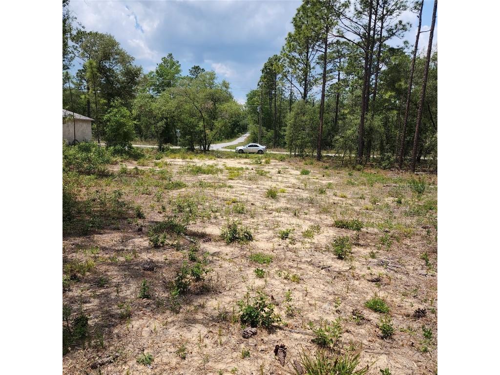 lot 13 NW Buena Vista Road Dunnellon FL 34431 OM657916 image1
