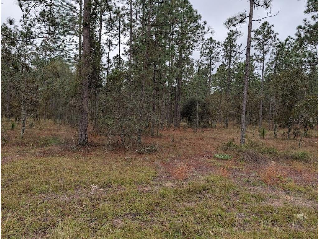 lot 13 NW Geranium Avenue Dunnellon FL 34431 OM712707 image1