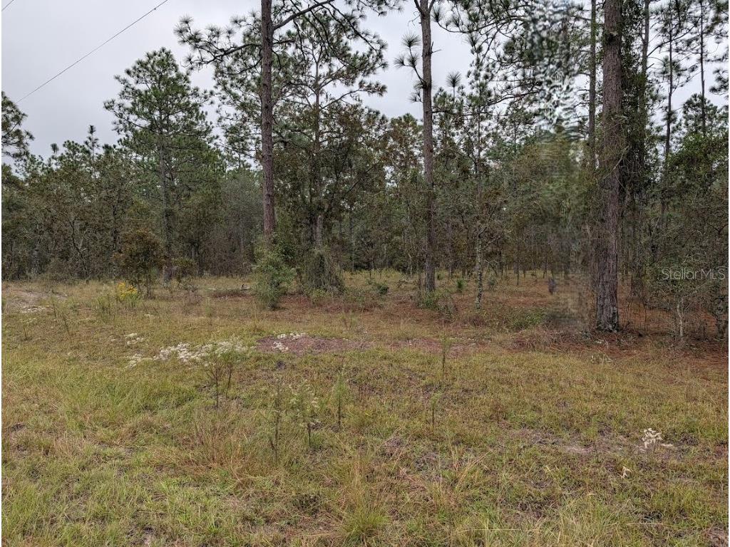 lot 13 NW Geranium Avenue Dunnellon FL 34431 OM712707 image2