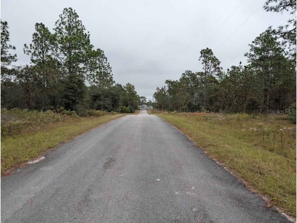 lot 13 NW Geranium Avenue Dunnellon FL 34431 OM712707 image3