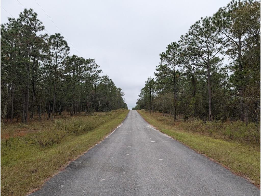 lot 13 NW Geranium Avenue Dunnellon FL 34431 OM712707 image4