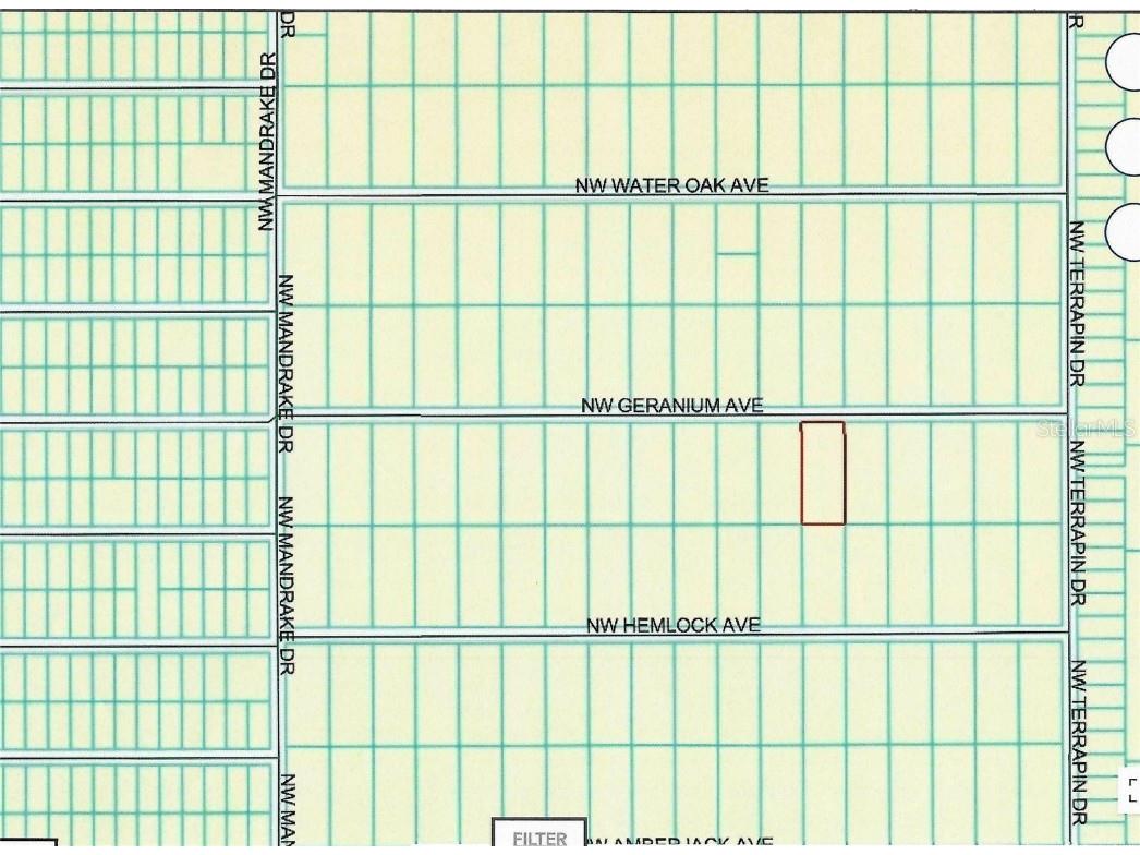 lot 13 NW Geranium Avenue Dunnellon FL 34431 OM712707 image6