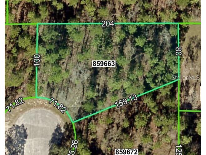 lot 16 Sleepy Hollow Brooksville FL 34614 W7872537 image1