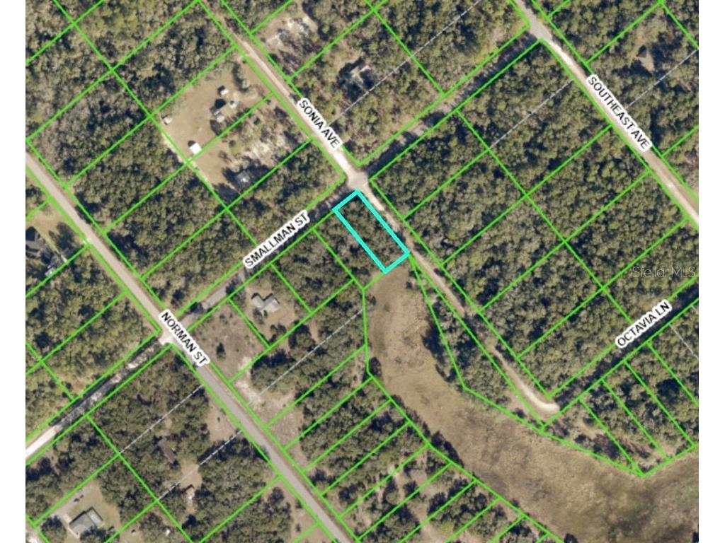 lot 17 Smallman Street Webster FL 33597 C7467630 image1