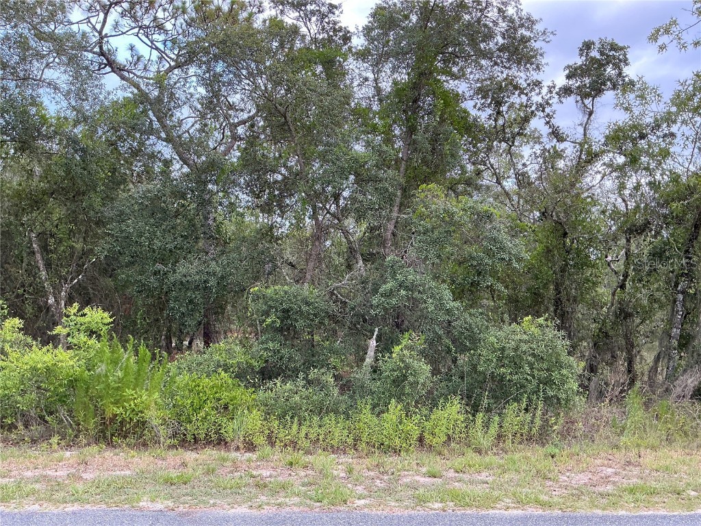 lot 18 SW Mango Lane Dunnellon FL 34431 OM683249 image1