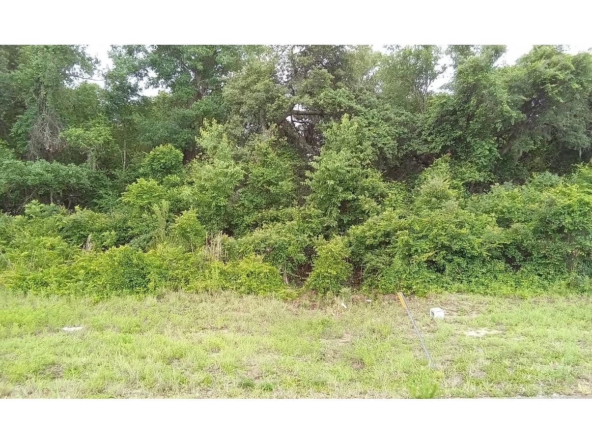 lot 19 SW 100th Street Ocala FL 34476 O6126899 image1