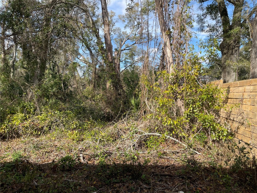 lot 2 NW 135th Terrace Alachua FL 32615 GC531500 image2