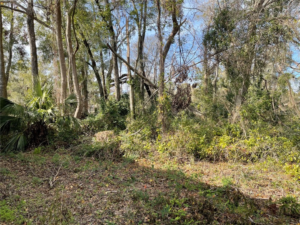 lot 2 NW 135th Terrace Alachua FL 32615 GC531500 image3