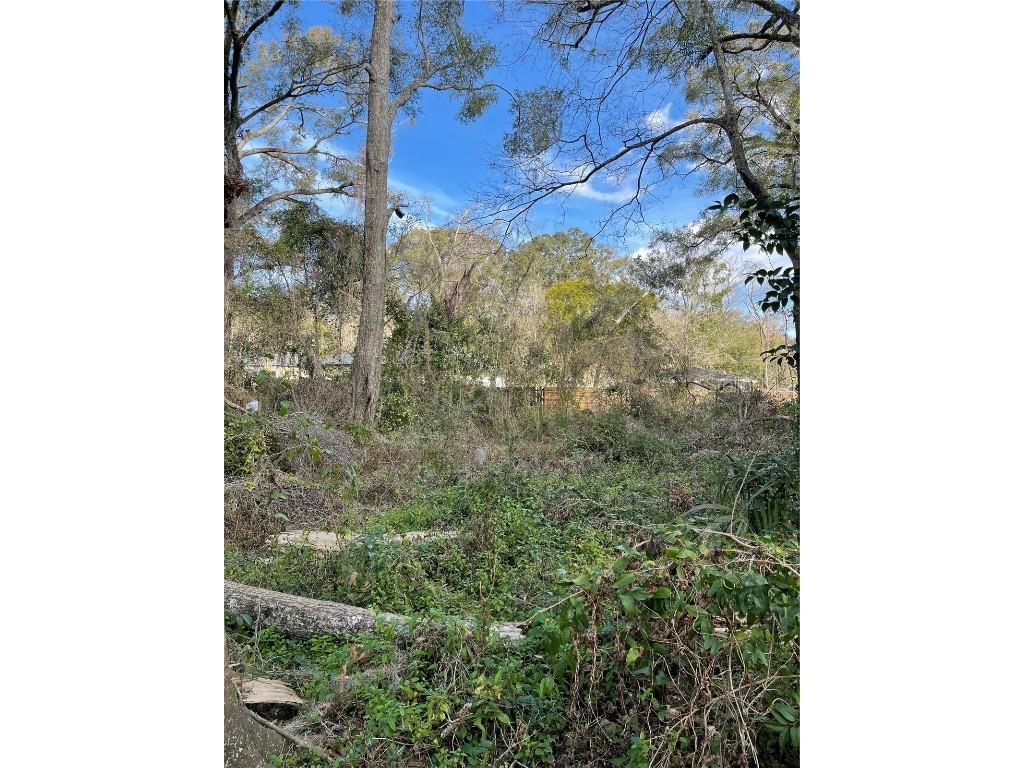 lot 2 NW 135th Terrace Alachua FL 32615 GC531500 image8