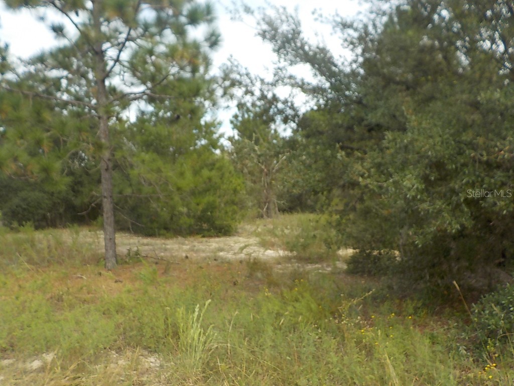 lot 21 SW Floral Court Dunnellon FL 34431 OM687229 image3