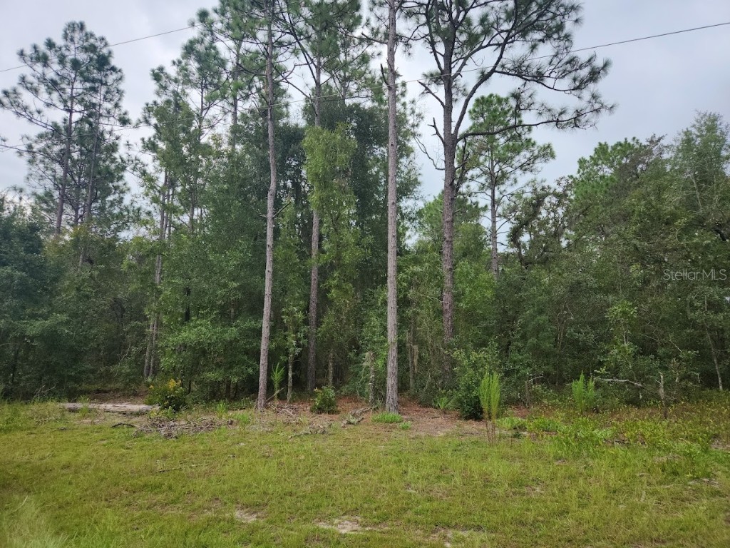 lot 24 SW 89th Circle Ocala FL 34473 OM708928 image1