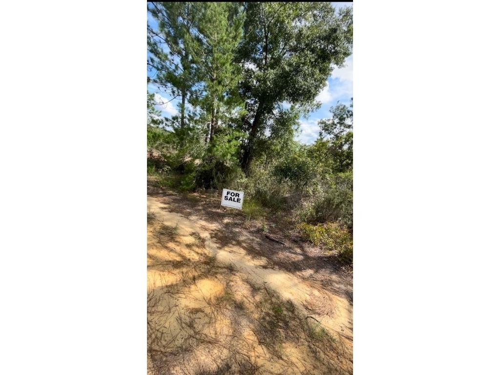 lot 25 Birch Avenue Interlachen FL 32148 C7499453 image2