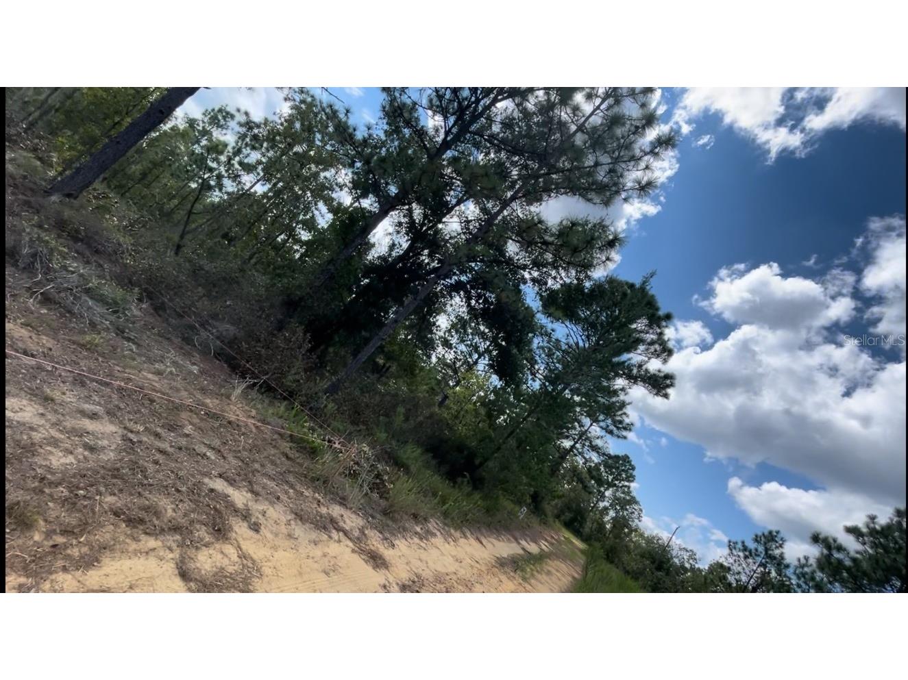 lot 25 Birch Avenue Interlachen FL 32148 C7499453 image3