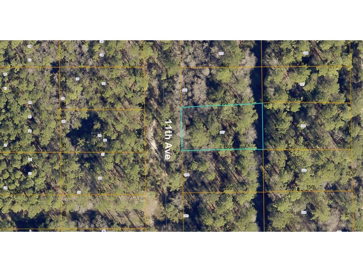 lot 257 11th Avenue Deland FL 32724 A4571034 image1