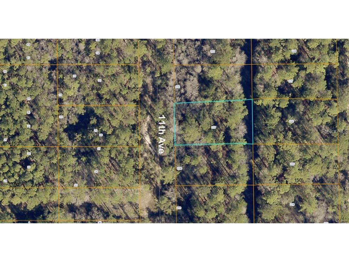 lot 257 11th Avenue Deland FL 32724 O6394742 image1