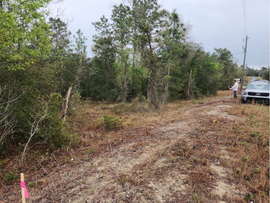 lot 30 SW Ivy Place Dunnellon FL 34431 OM699555 image1