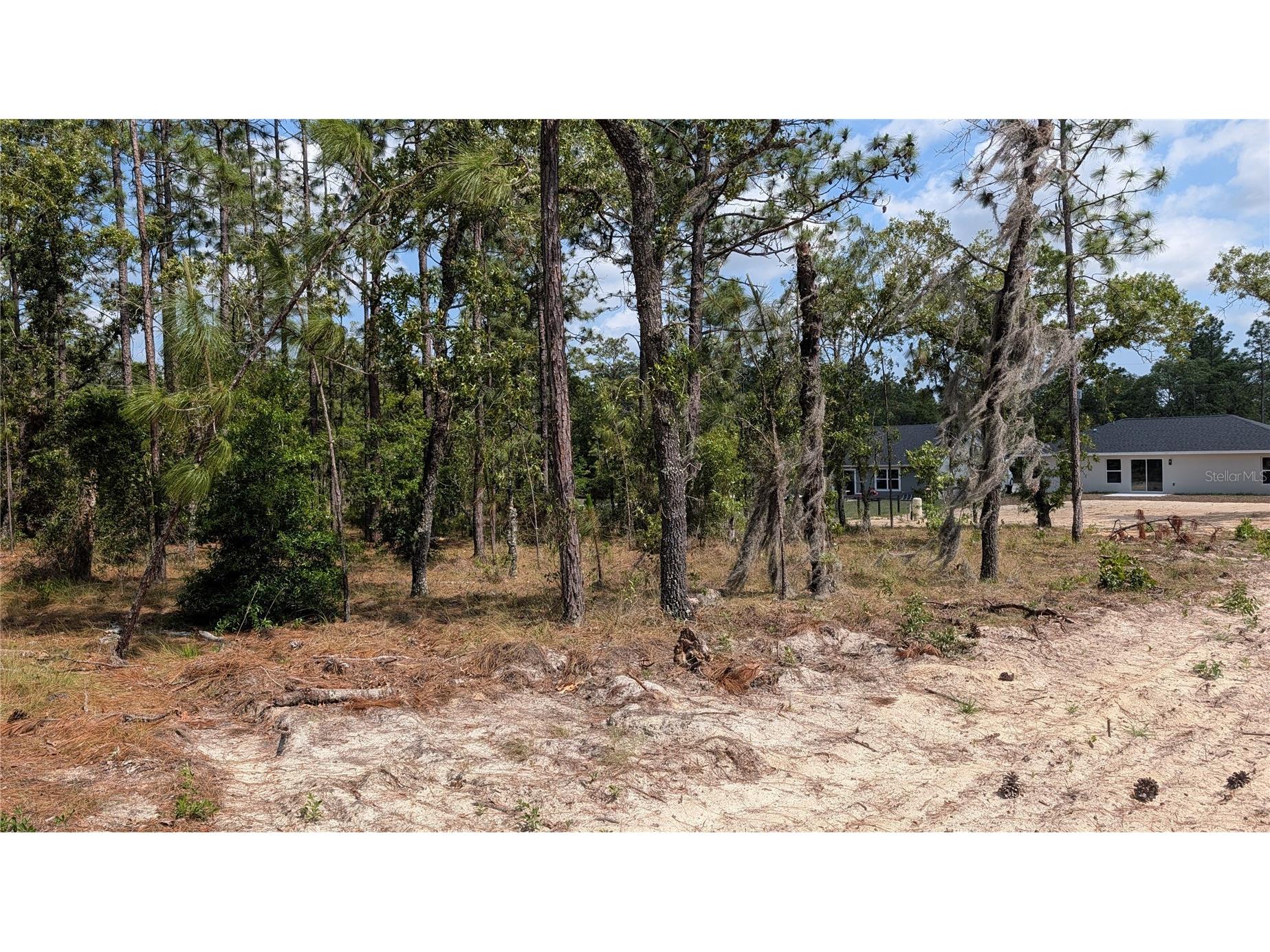 lot 32 NW Hemlock Avenue Dunnellon FL 34431 OM724391 image2