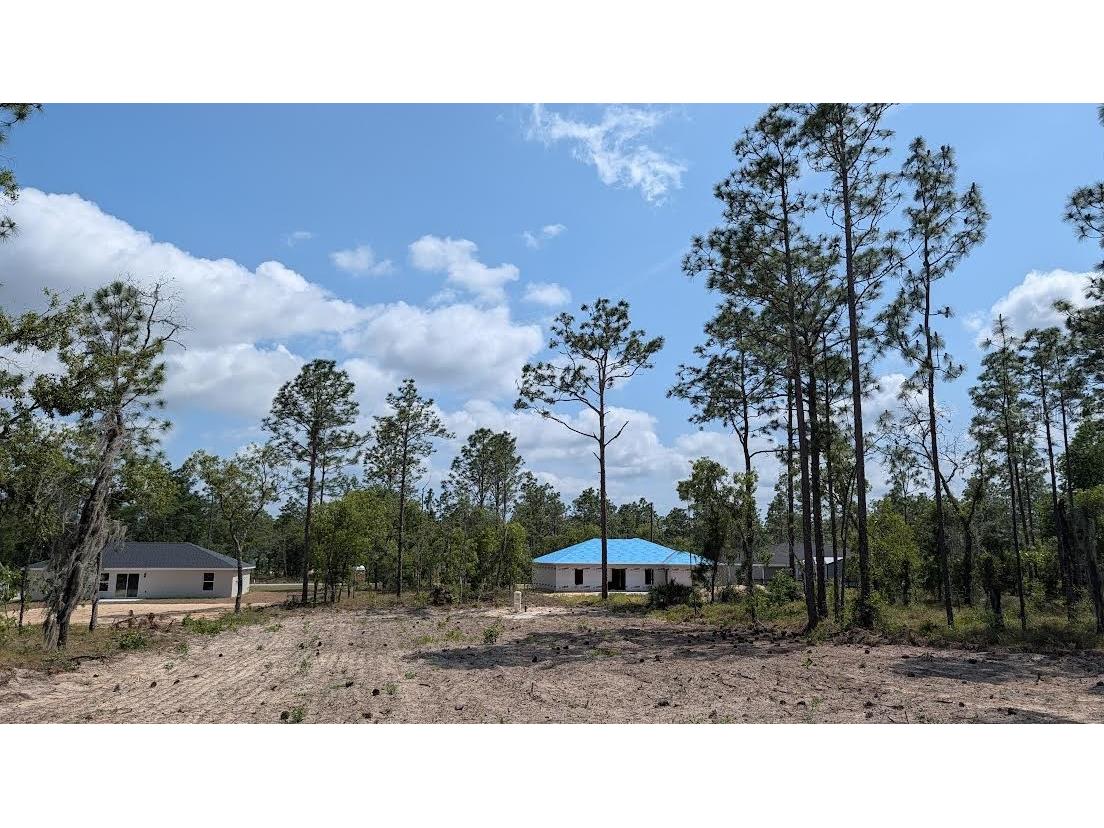 lot 32 NW Hemlock Avenue Dunnellon FL 34431 OM724391 image4