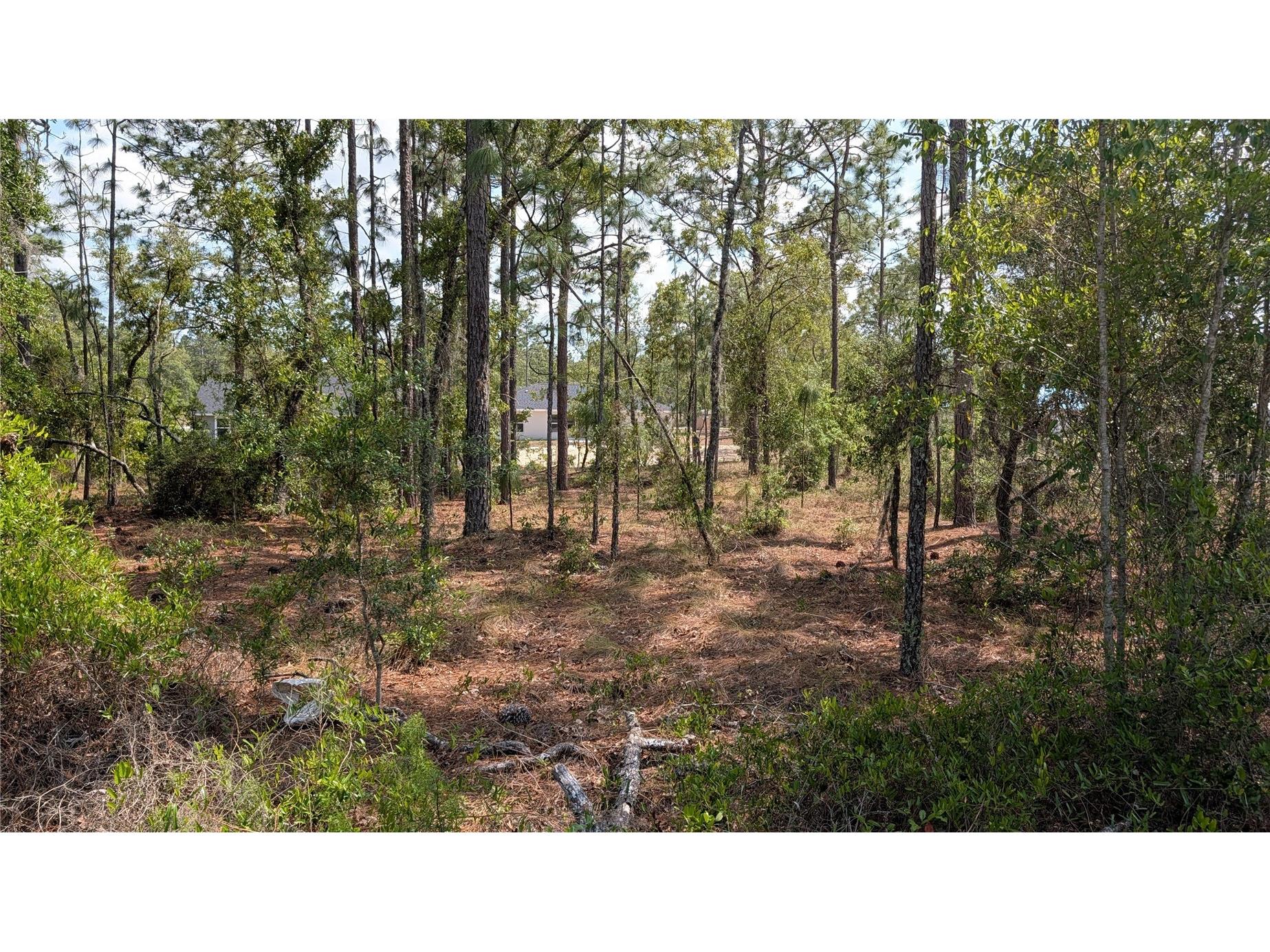 lot 32 NW Hemlock Avenue Dunnellon FL 34431 OM724391 image5