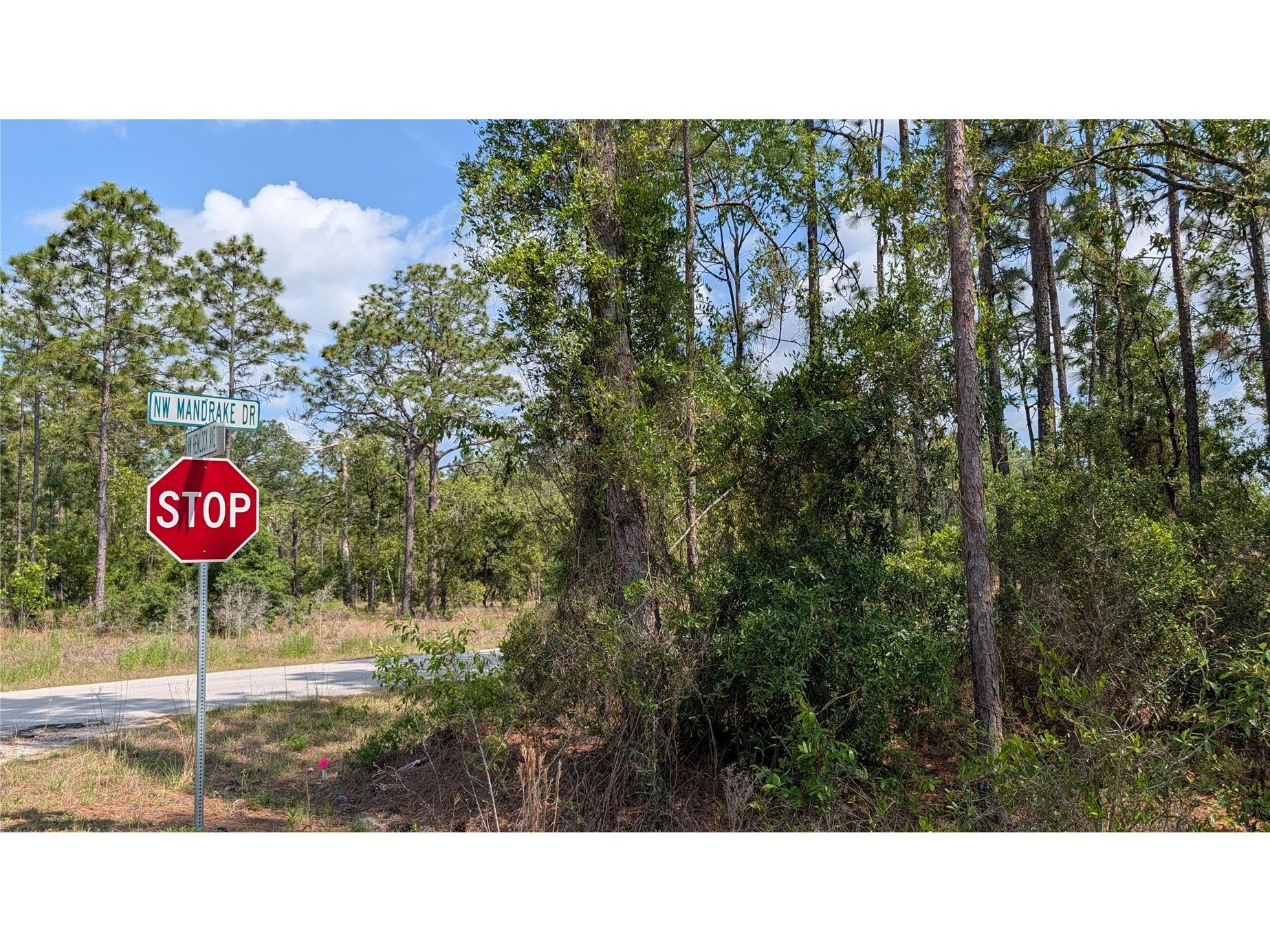 lot 32 NW Hemlock Avenue Dunnellon FL 34431 OM724391 image6