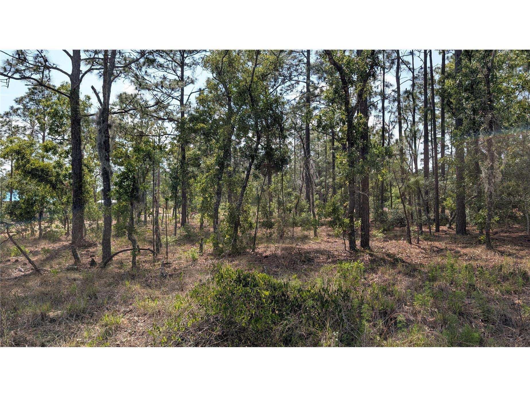 lot 32 NW Hemlock Avenue Dunnellon FL 34431 OM724391 image8