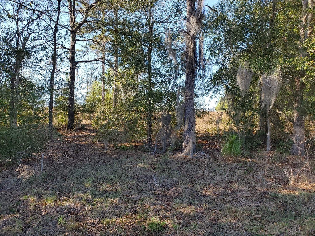 lot 32 SW 144th Ave. Road Ocala FL 34481 OM691201 image1