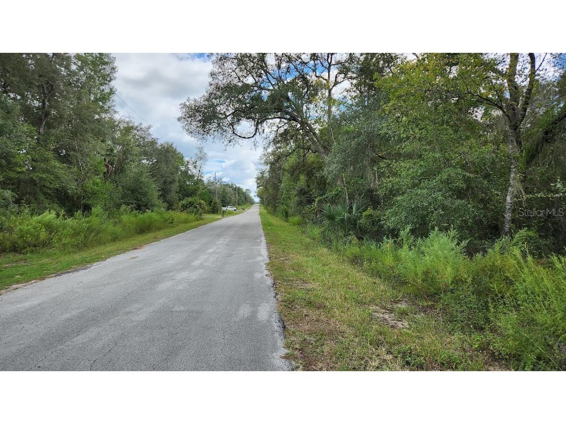 lot 4 SW Shasta Court Dunnellon FL 34431 OM665617 image1